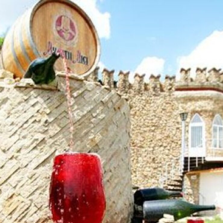 Milestii Mici wine gallery registered in the “Guinness Book”
